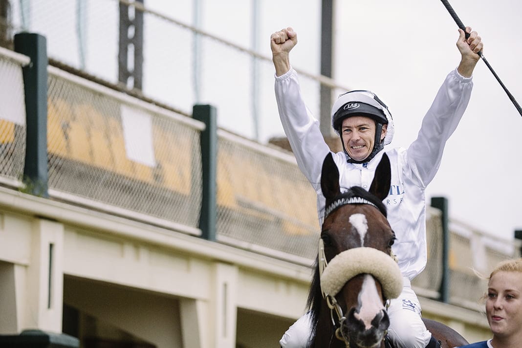 Members Preview- 16.11.19