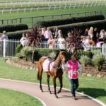 Racing at Newcastle - in support of Hunter Breast Cancer Foundation