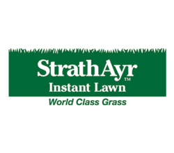 Strath Ayr