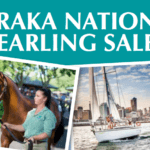 Karaka National Yearling Sales
