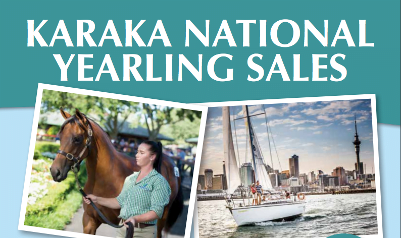 Karaka National Yearling Sales