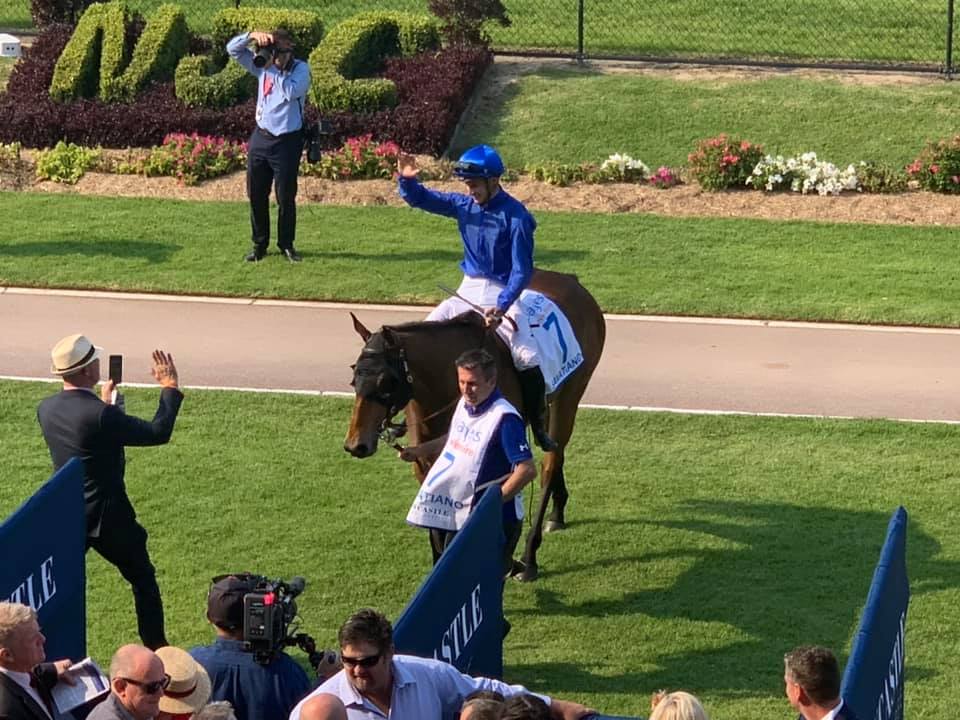 The Hunter a highlight of the never-ending spring