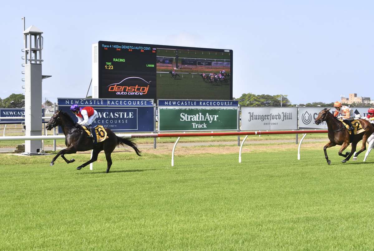 Gary Harley Wrap 28.01.20