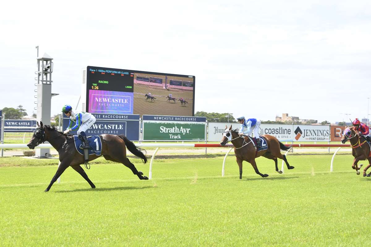 Gary Harley Wrap- 24.02.20