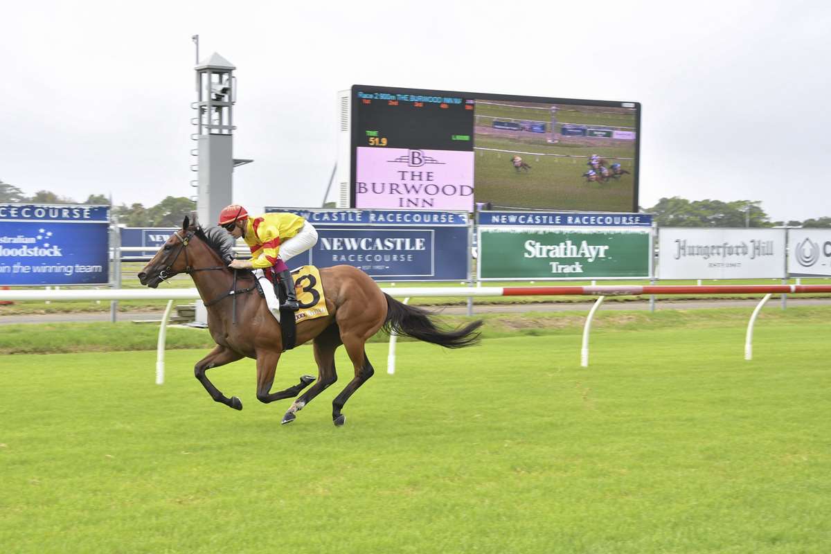 Gary Harley Wrap- 10.02.20