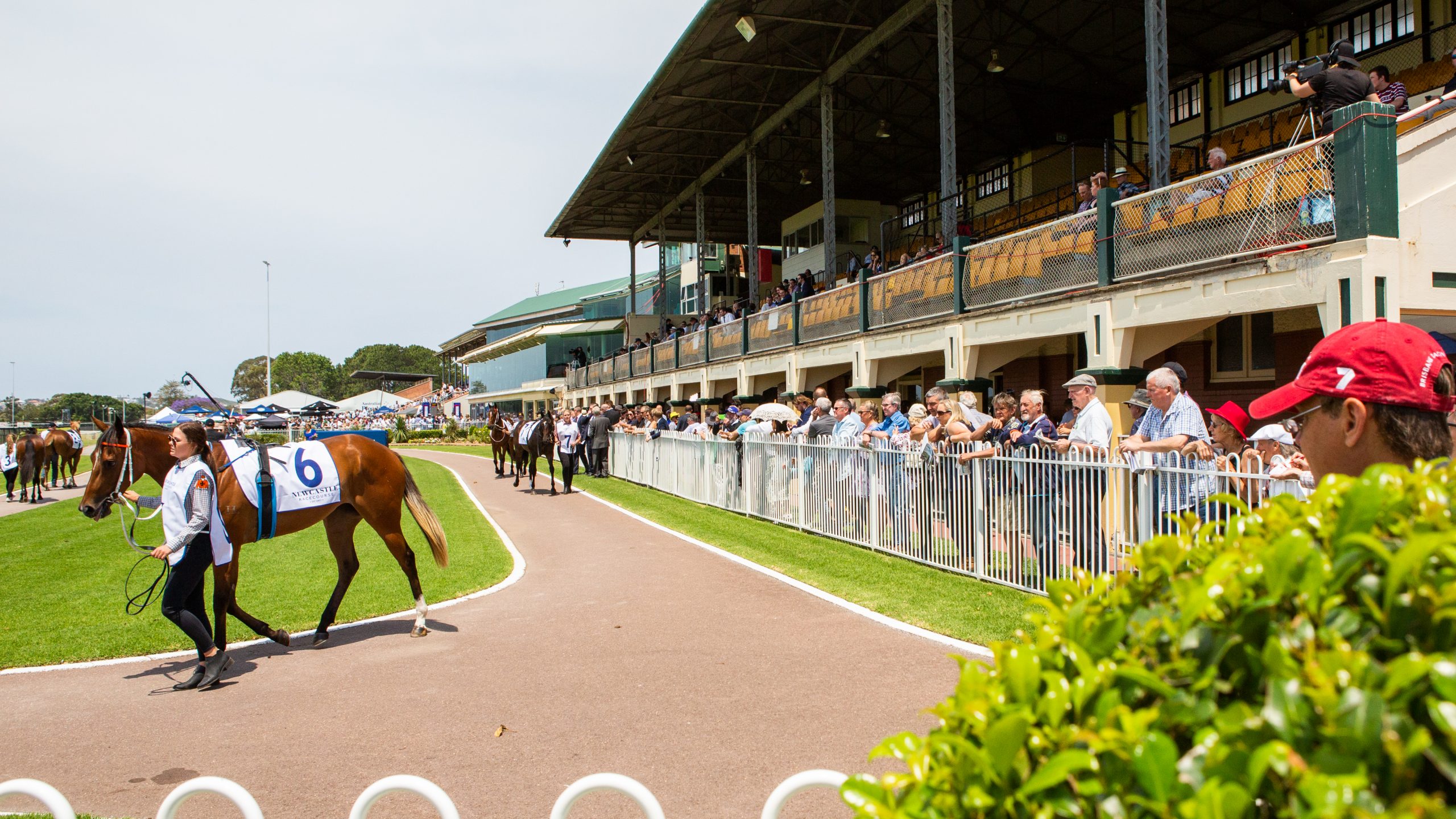 Gary Harley – Herald 27.06.20