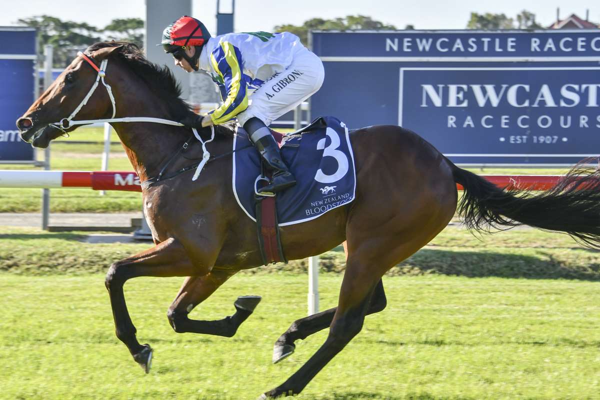 Gary Harley- Wrap- 23.04.20