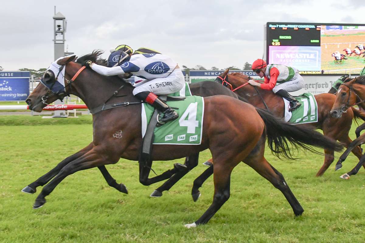 Gary Harley Wrap- 26.05.20