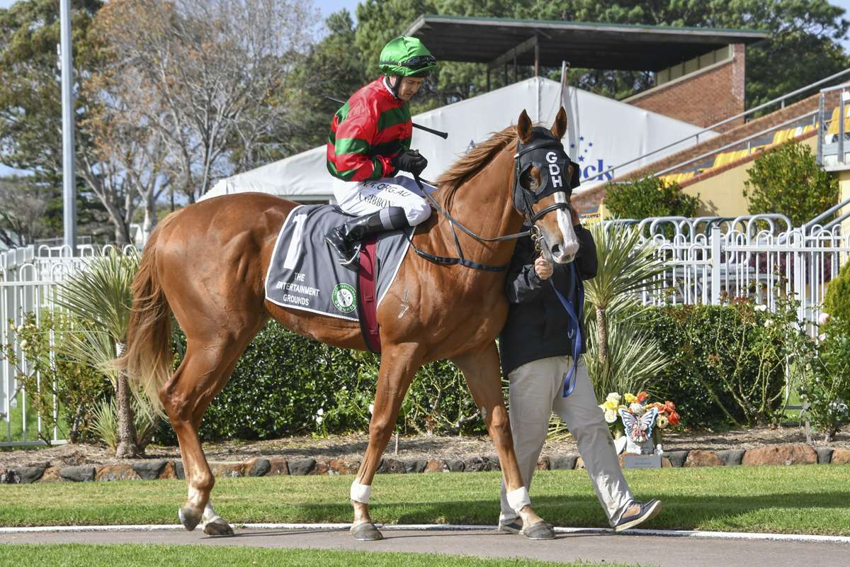 Gary Harley Wrap- 23.05.20