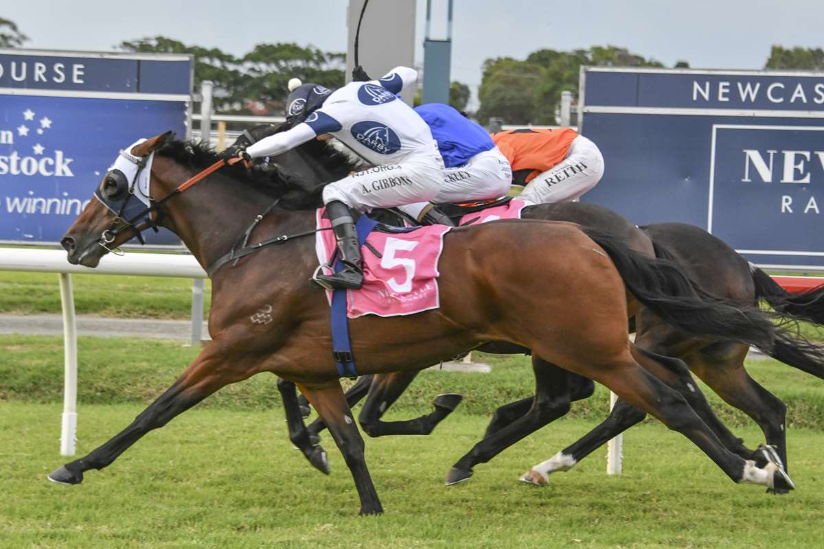 Gary Harley – Wrap – 11.05.20