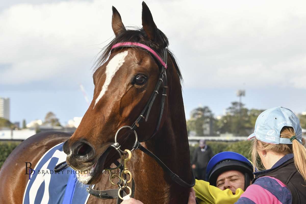 Gary Harley Wrap 27.06.20