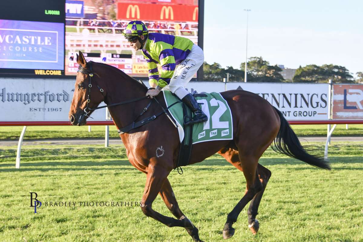 Gary Harley Wrap 22.06.20