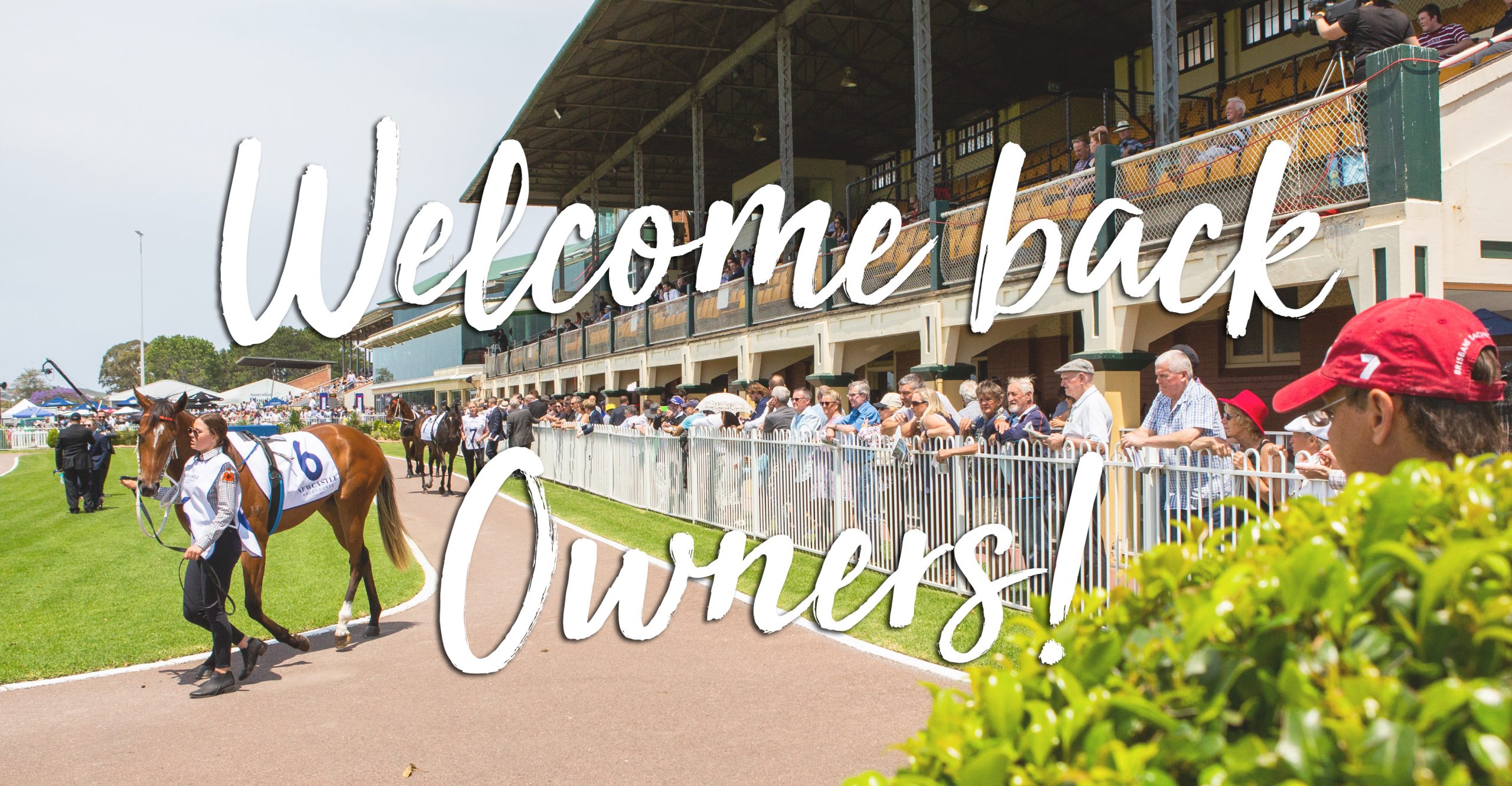 Welcome Back Owners!