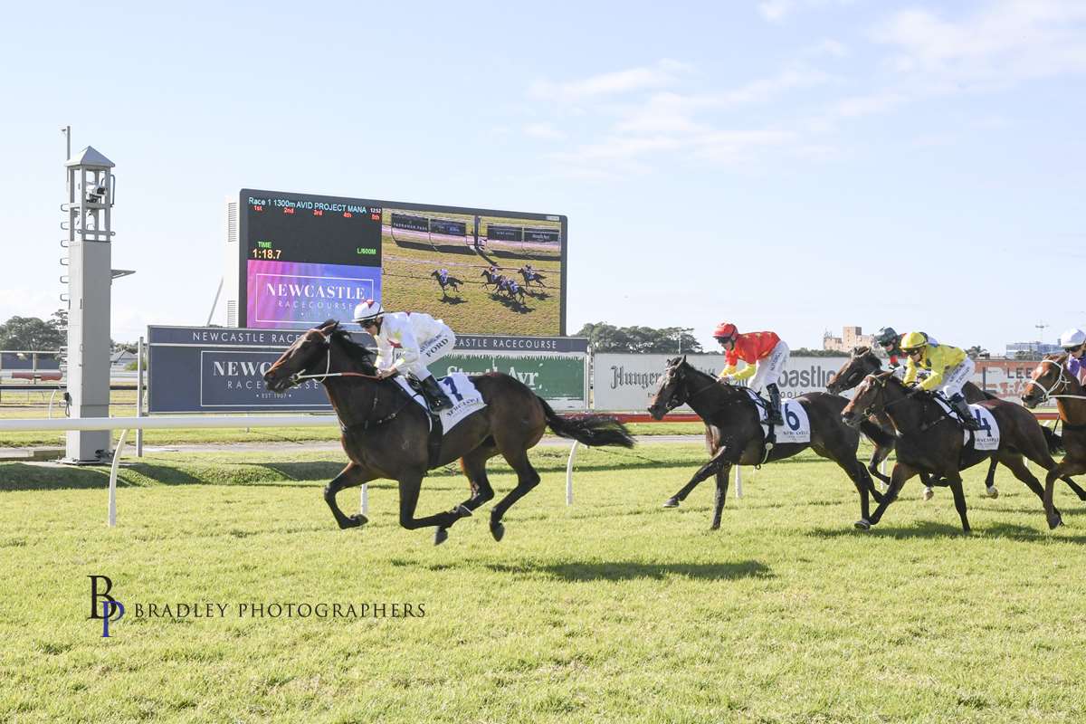 Gary Harley Wrap- 07.07.20