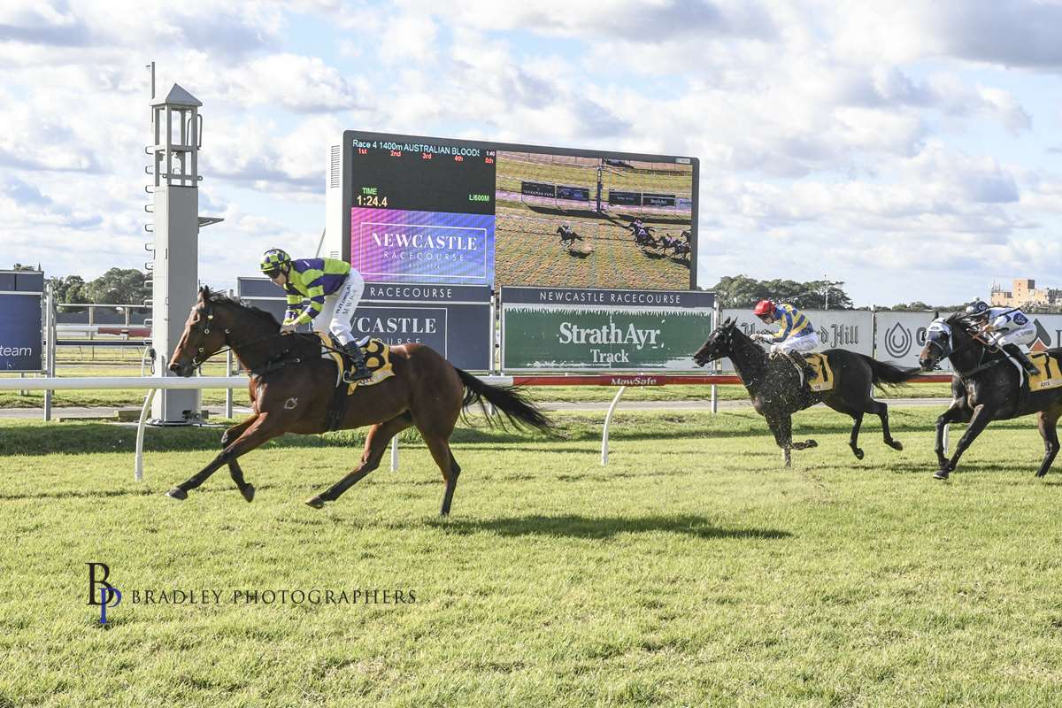 Gary Harley Wrap 04.07.20