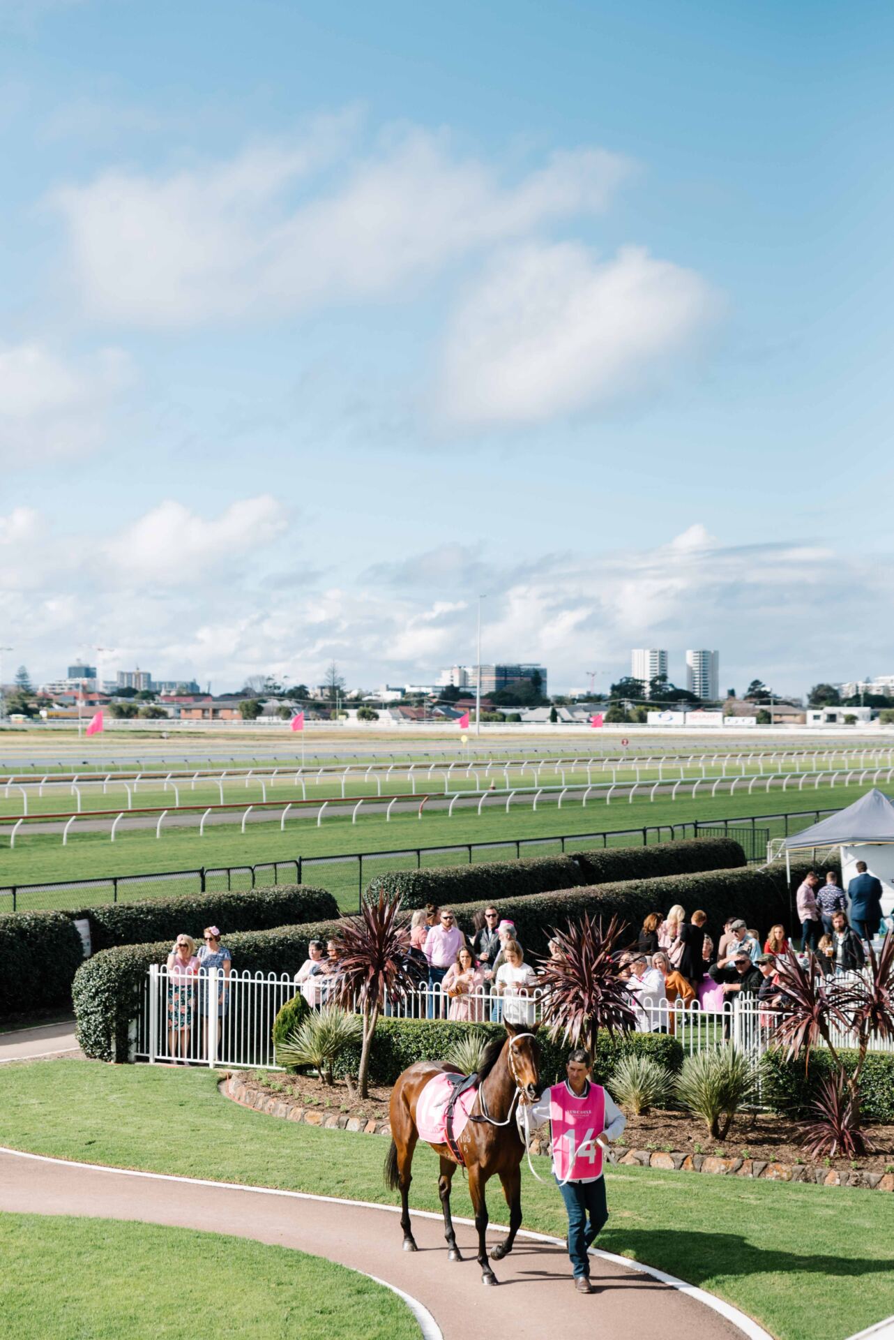 Gary Harley – Herald – 06.02.21