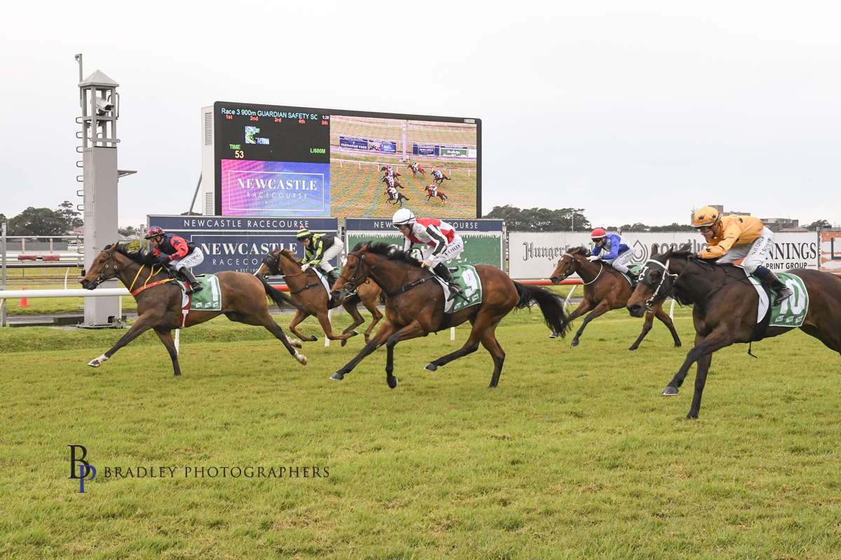 Gary Harley Wrap 08.08.20