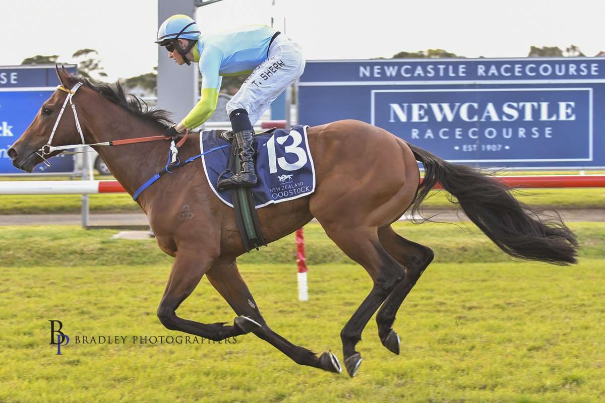 Gary Harley Wrap 13.08.20