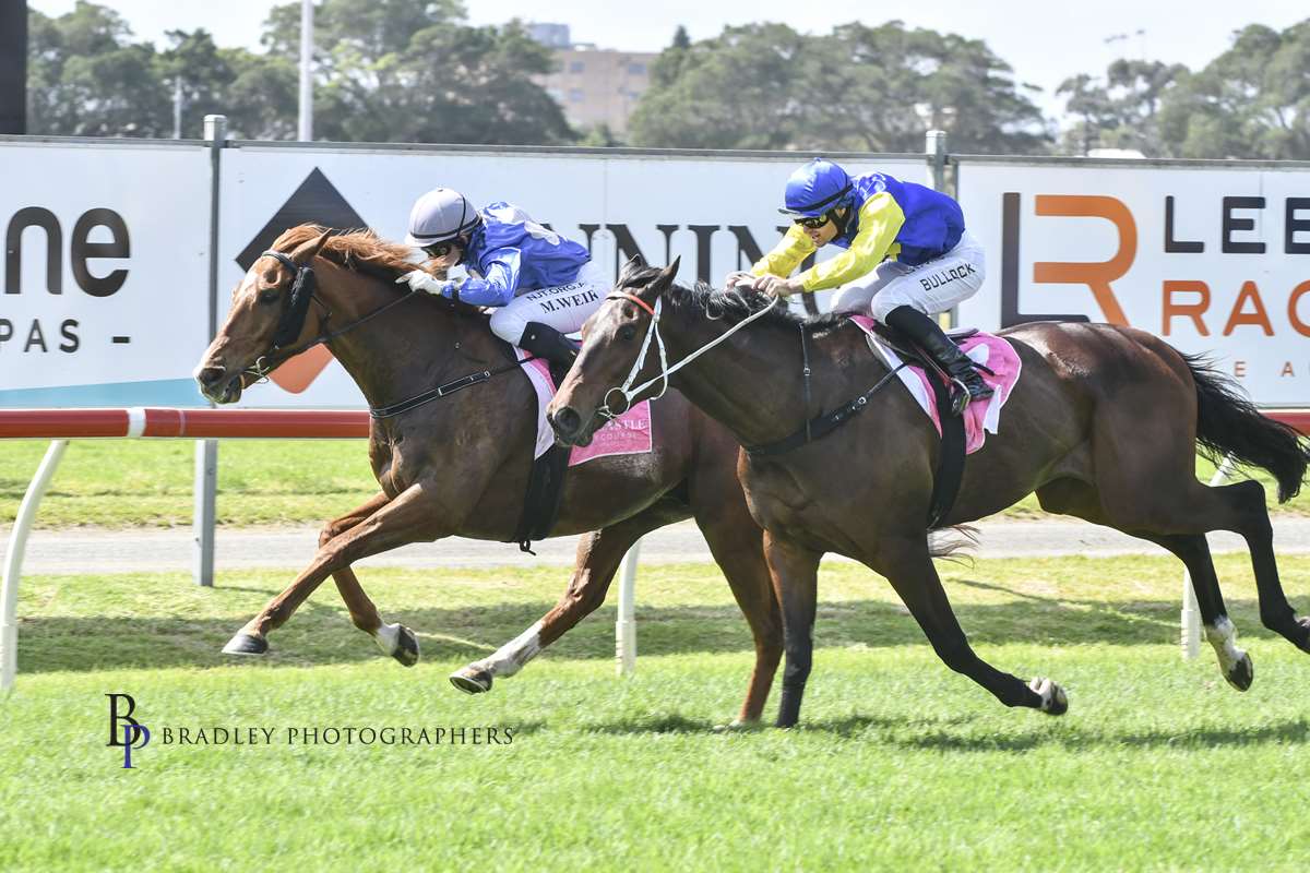 Gary Harley- Ladies Day Wrap – 19.09.20