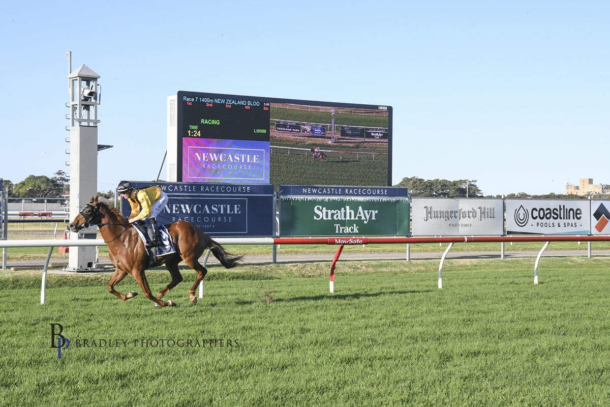 Newcastle Wrap- 13.10.20