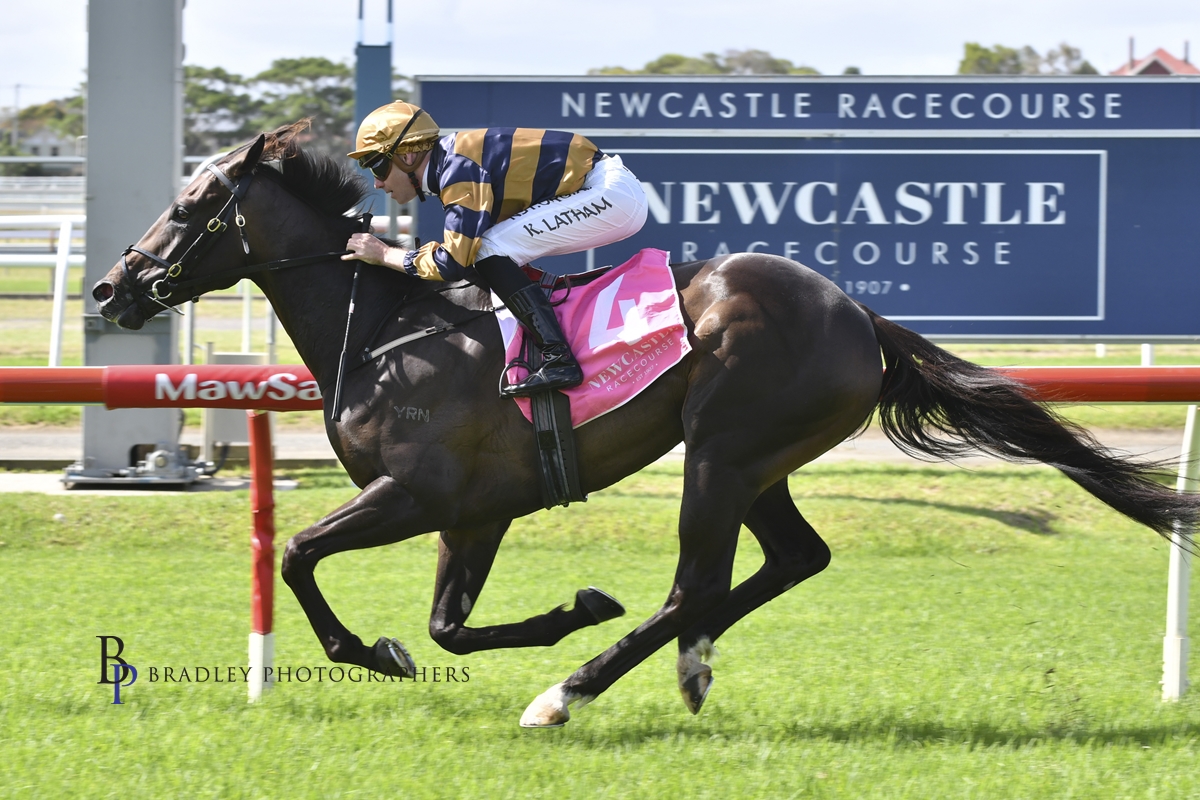 Gary Harley Wrap – Cessnock & Jungle Juice Cup