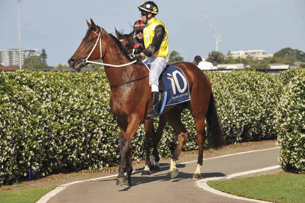 Gary Harley Wrap 24.11.20