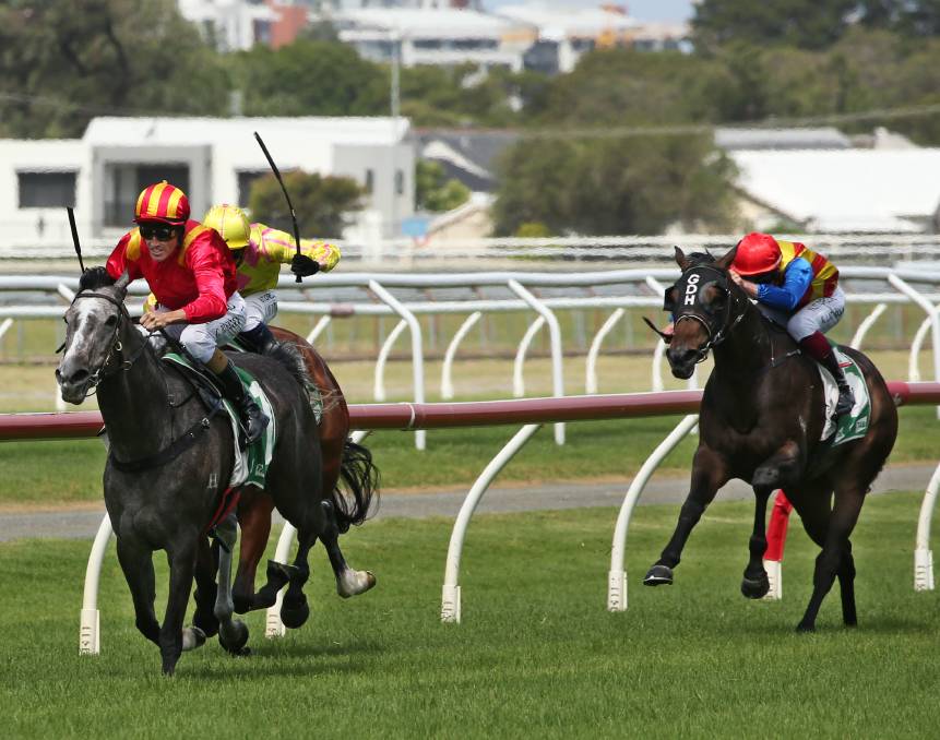 Racing: Hot prospect Glowing Red arrives just in time for Kris Lees at Newcastle