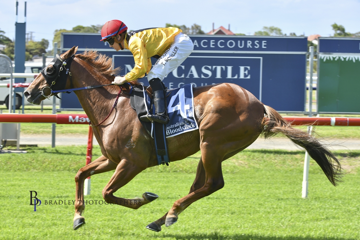 Gary Harley Wrap – 31.10.20