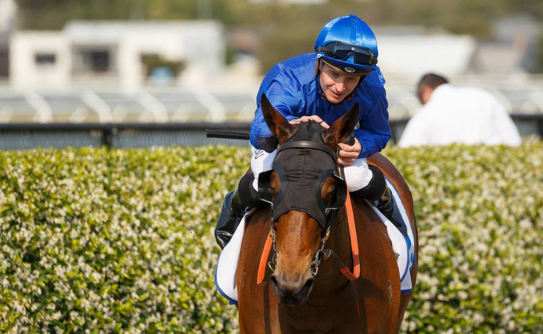 Horse racing: The Hunter prizemoney not only attraction to Newcastle