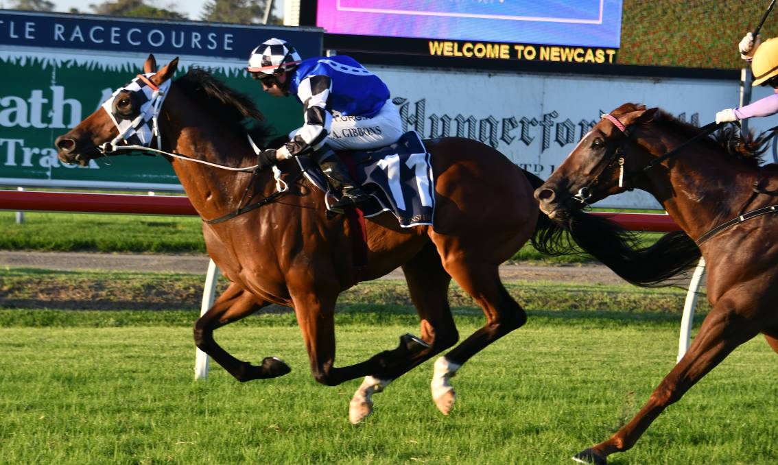 Racing: Lees hoping for sharp return from Animate in Wyong Magic Millions start