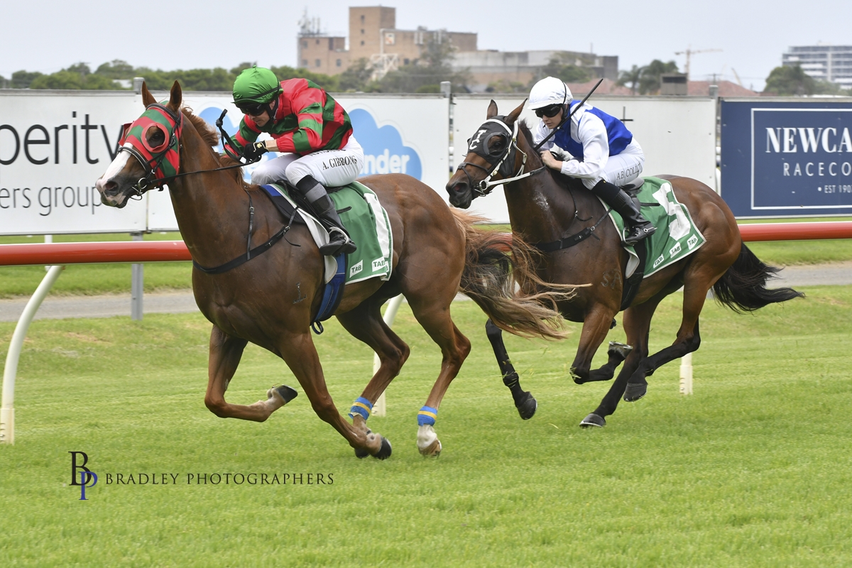 Gary Harley- Wrap- 07.12.20