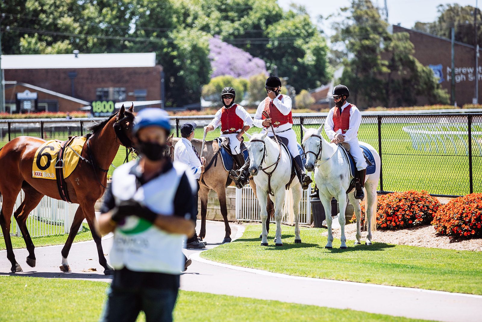 Transferred race meetings -12.01.21 & 20.01.21