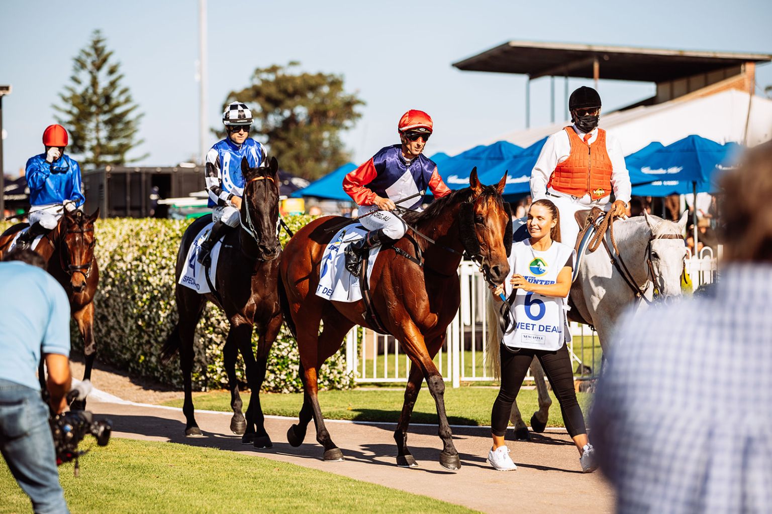 Gallery Newcastle Racecourse