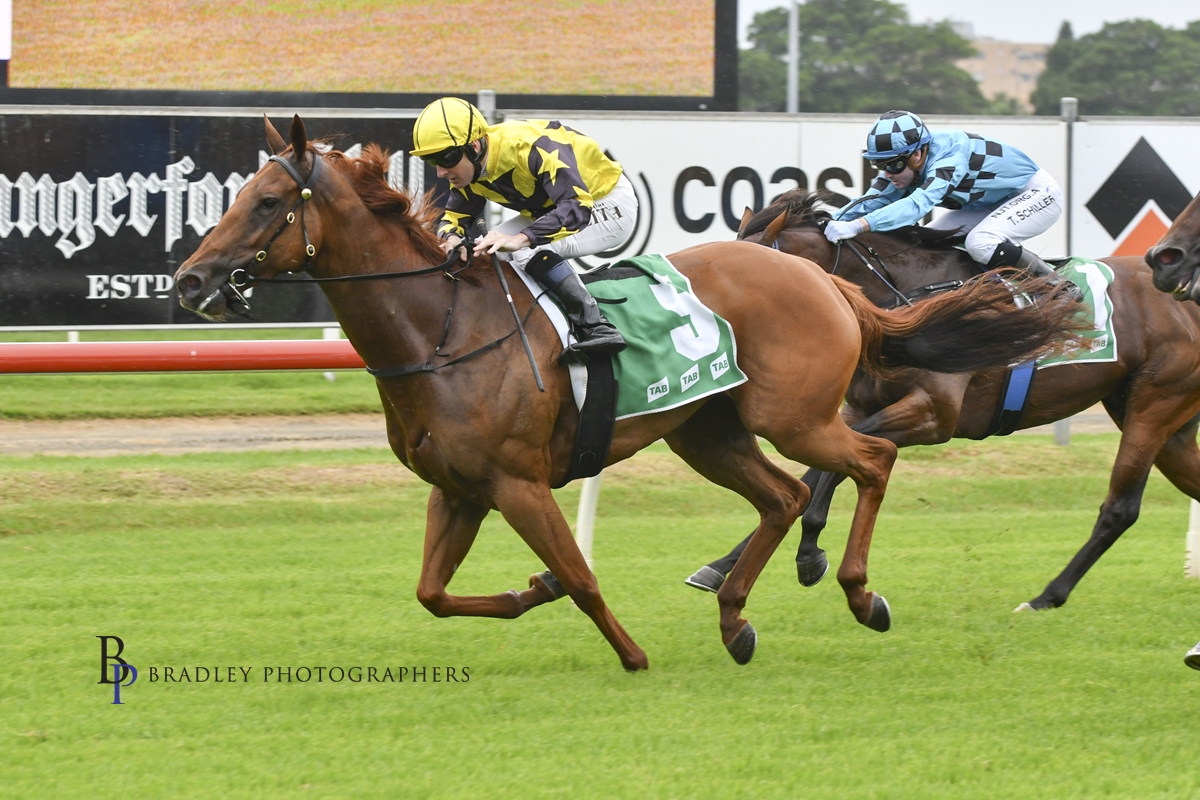 Gary Harley Wrap – 06.02.21