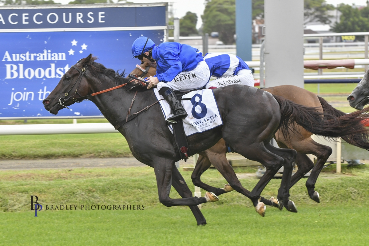 Gary Harley- Wrap 30.01.21