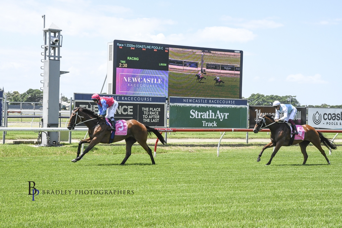 Gary Harley Wrap 01.02.21