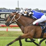 Racing at Newcastle ft the Newcastle & Hunter Racing Hall of Fame