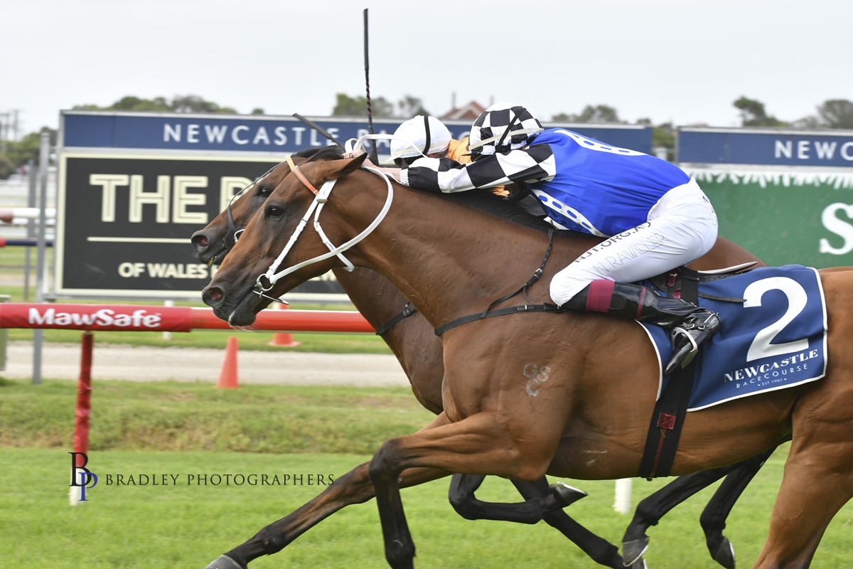 Gary Harley – Preview – 04.06.22