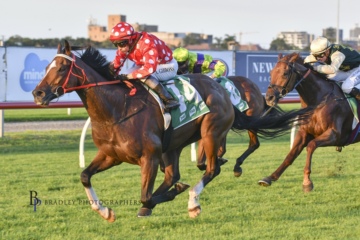 Gary Harley – Wrap – 15.04.21