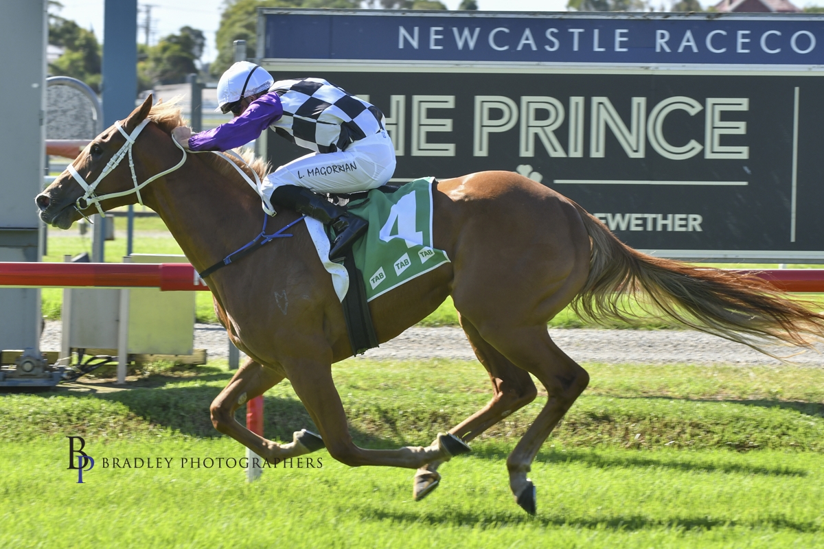 Gary Harley – Wrap – 10.04.21