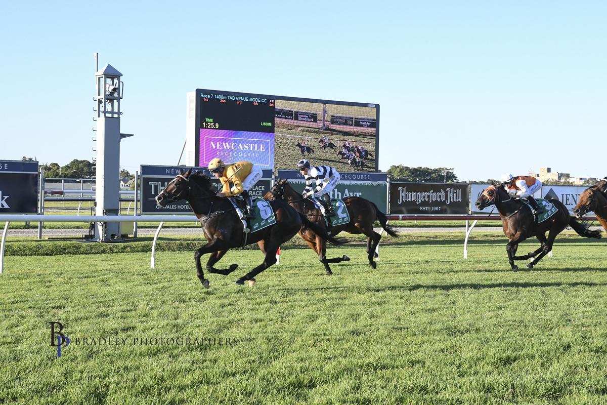 Gary Harley – Wrap – 22.04.21