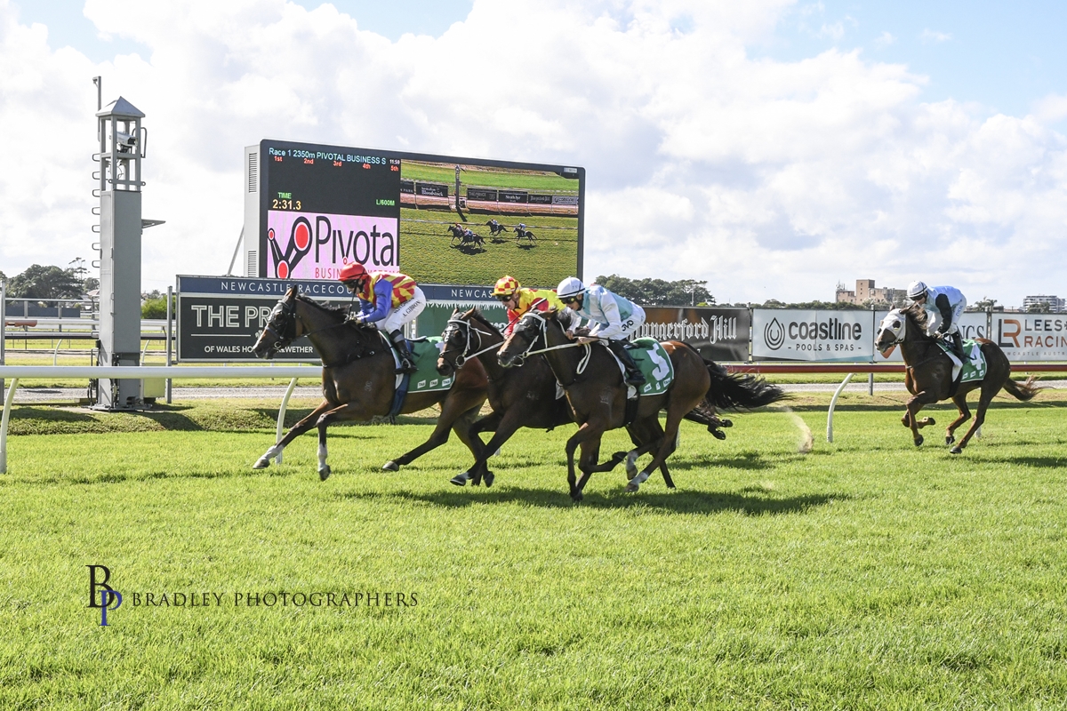 Gary Harley- Wrap- 01.05.21