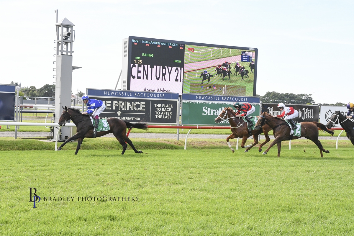 Gary Harley – Wrap – 08.05.21