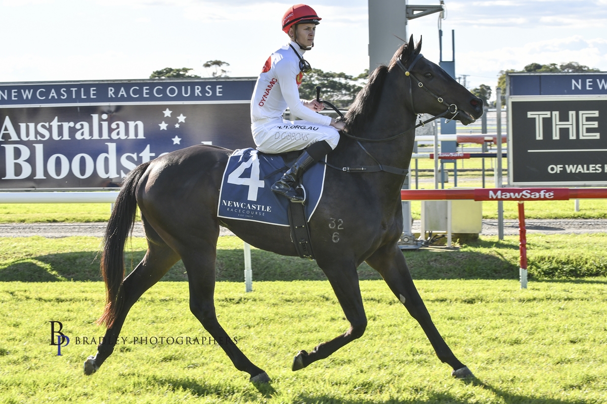 Gary Harley wrap – 26.06.2021