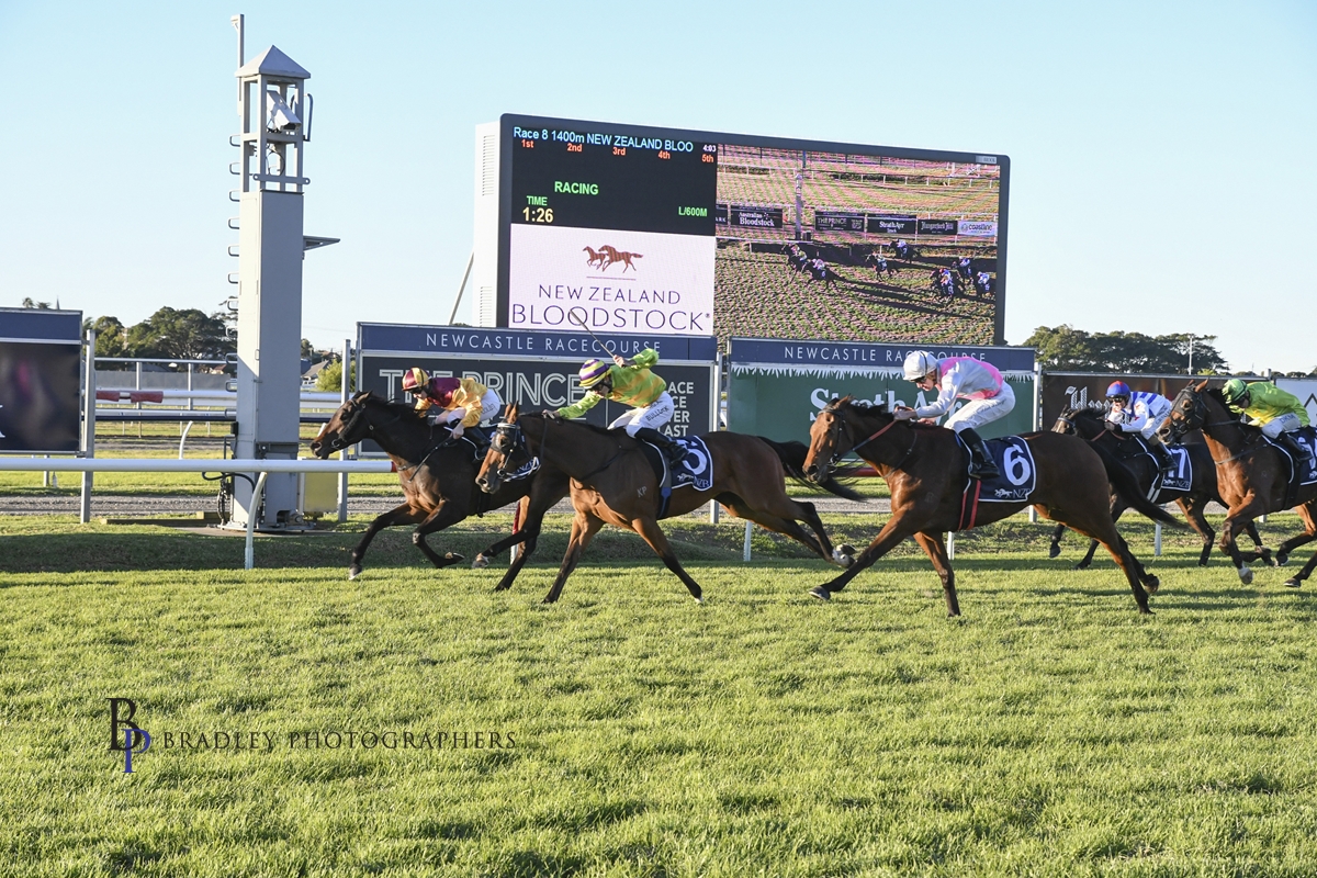 Gary Harley – Wrap – 12.06.21