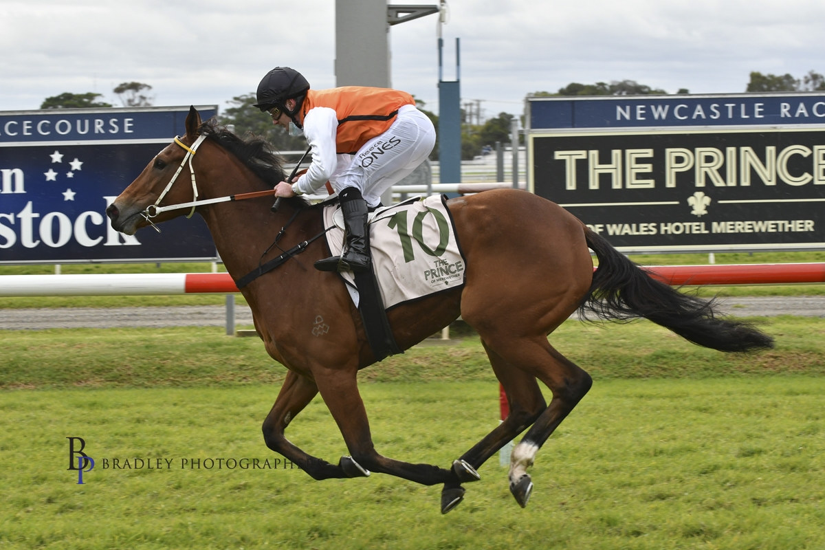 Gary Harley – Wrap – 10.07.21