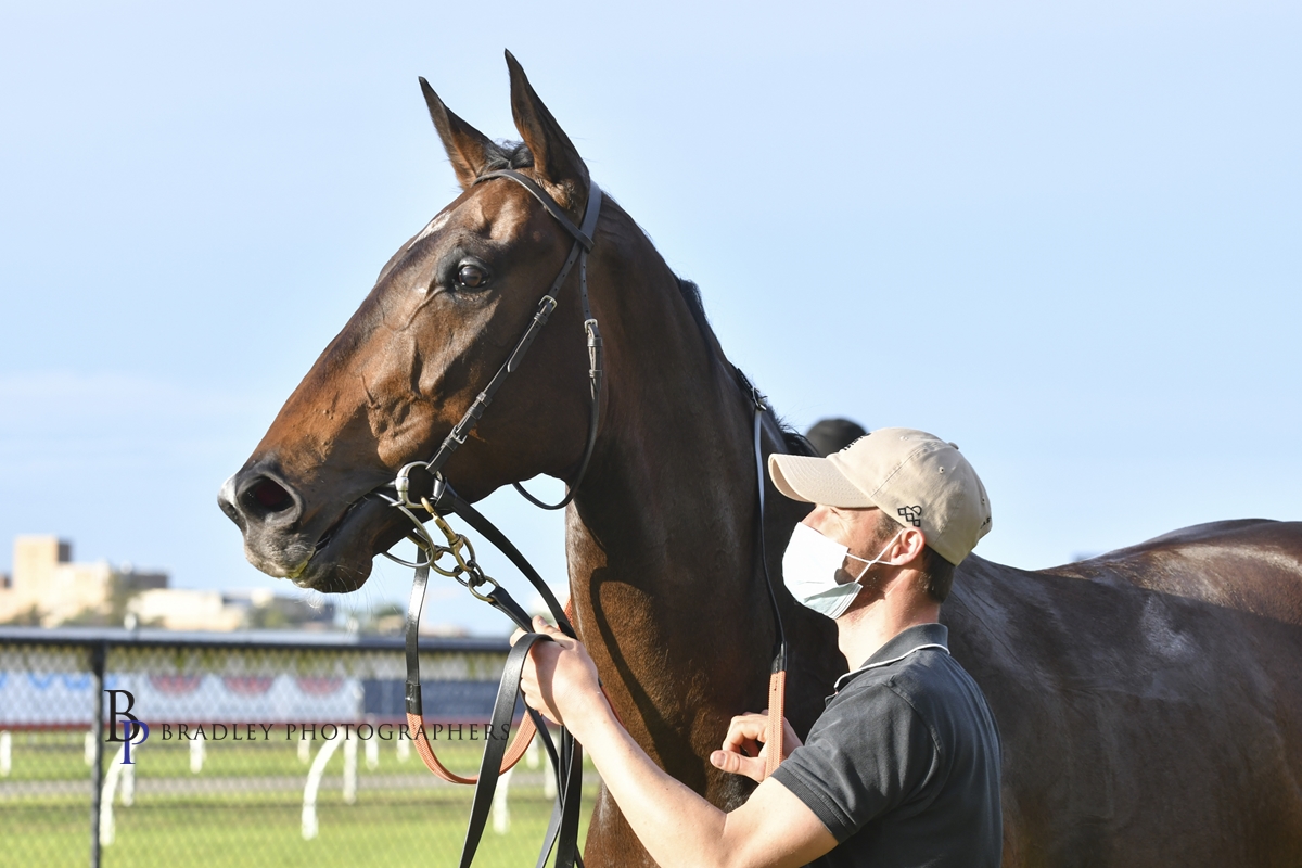 Gary Harley – Wrap – 03.07.21