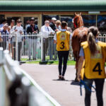 Wine Country Race Meeting at Newcastle