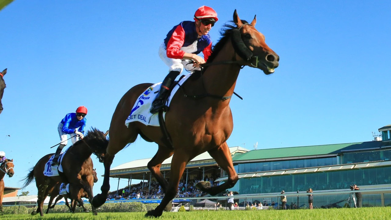 Gary Harley – Preview – 04.12.21