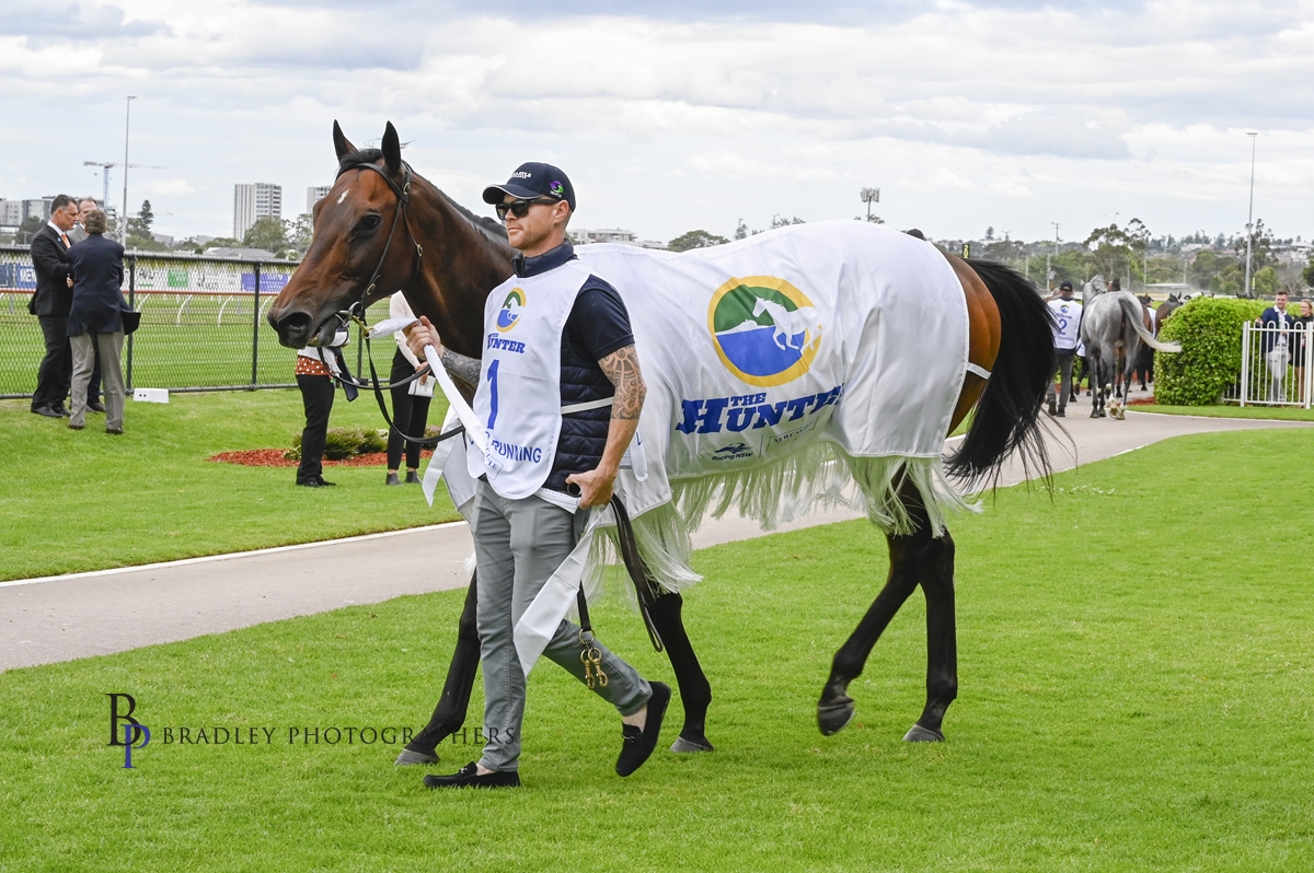 Gary Harley – Wrap – 13.11.21